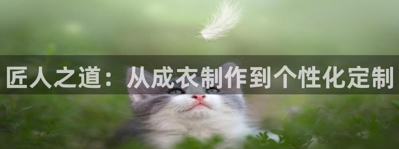 天辰娱乐老板