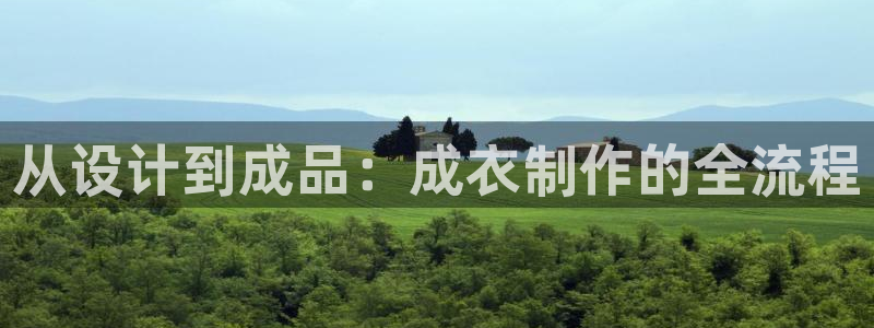 天辰娱乐 . 鱼刺