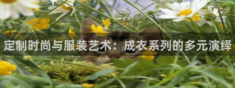 天辰娱乐入口