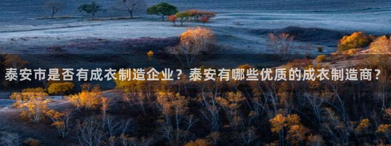 天辰娱乐传媒