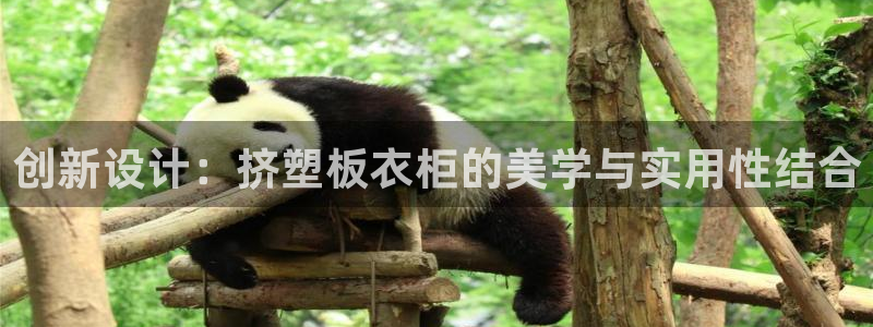 天辰娱乐51137