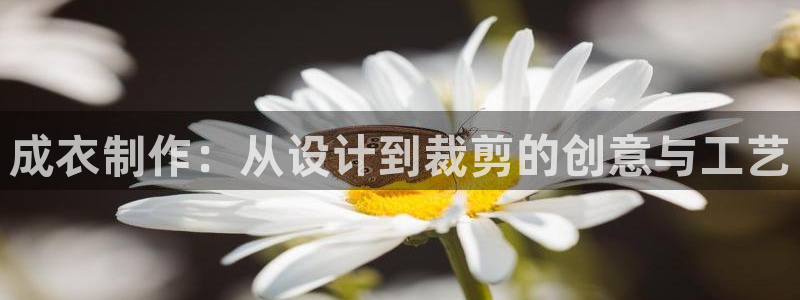 天辰娱乐957807