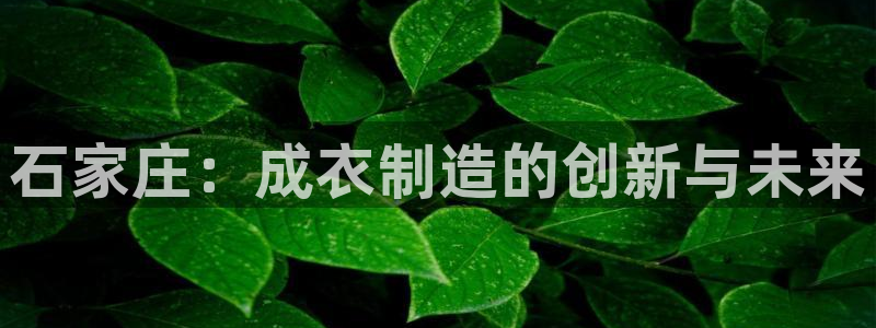 天辰娱乐电话