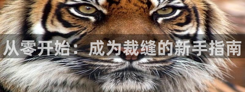 天辰娱乐指尖所