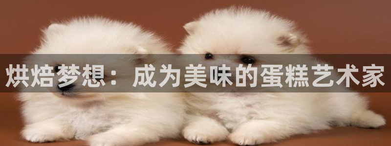 北京天辰娱乐