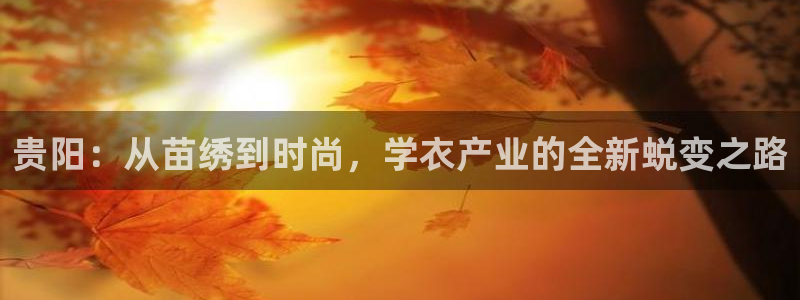 大同天辰娱乐