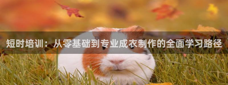 天辰娱乐线路