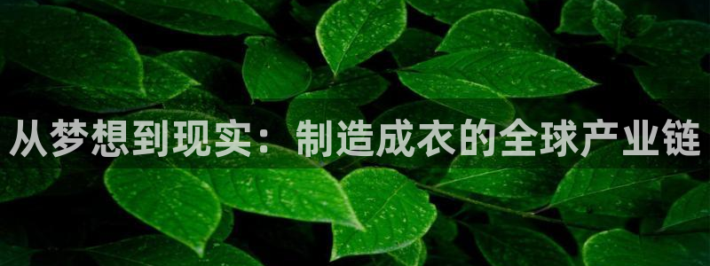 天辰娱乐在线