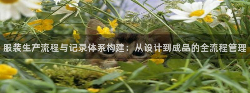 天辰娱乐新闻
