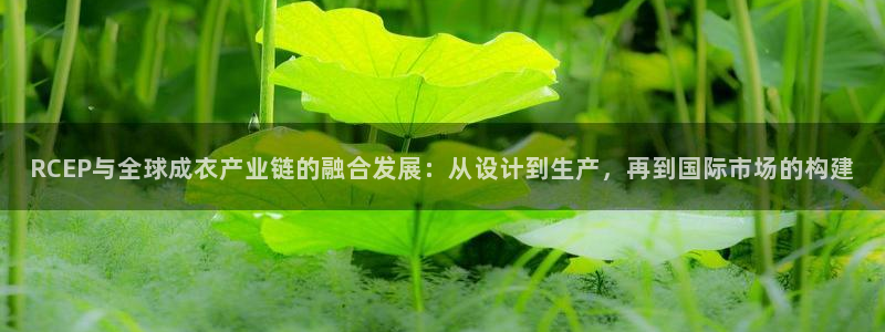 天辰娱乐老板