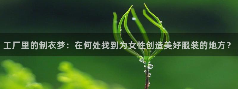 天辰娱乐文案