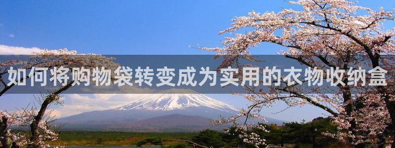 天辰娱乐51137