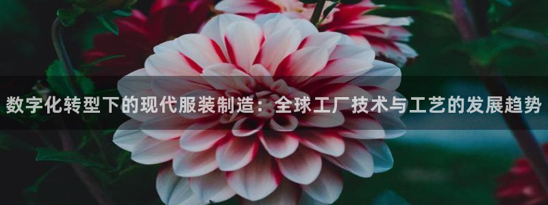 天辰娱乐视频