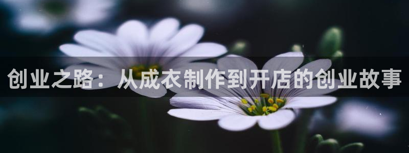 天辰娱乐官方网
