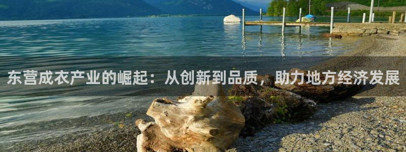 手机上怎么下载天辰娱乐