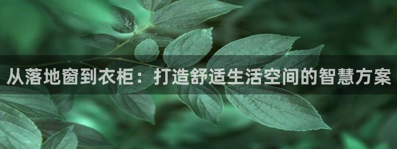 天辰娱乐黑人