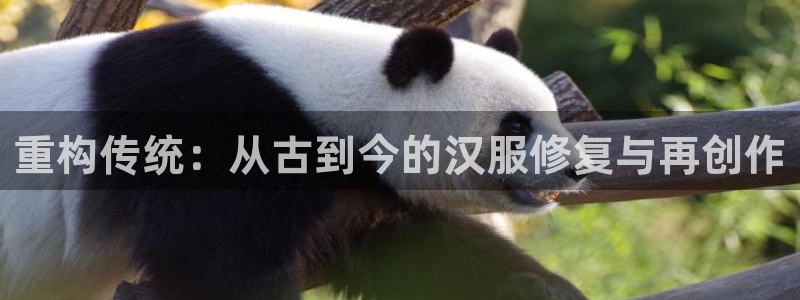 天辰娱乐登陆平台