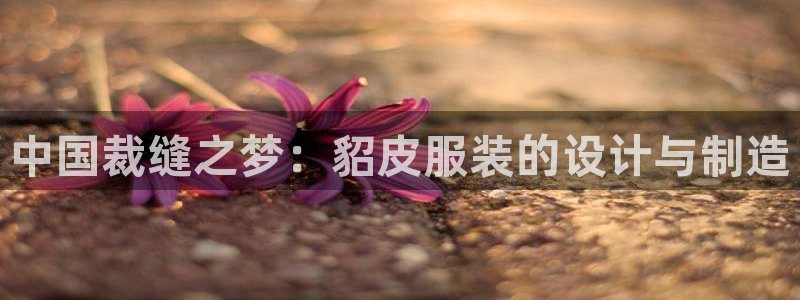 天辰娱乐平台登录账号