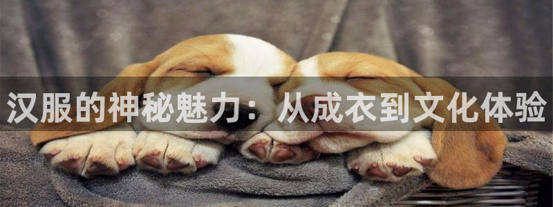 天辰娱乐官方登录下载