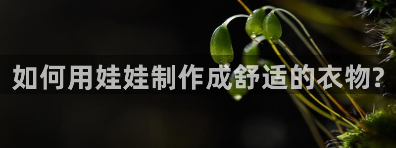 天富娱乐与天辰娱乐